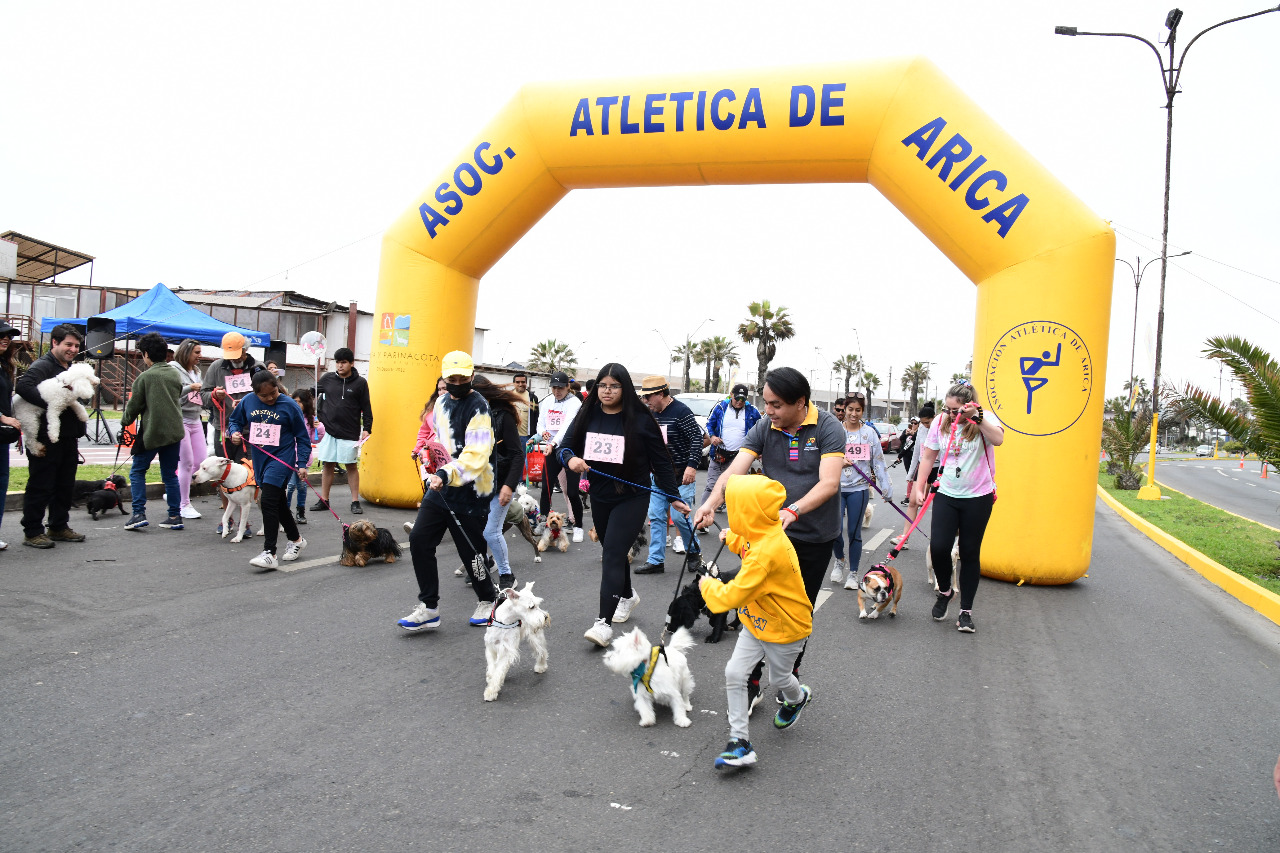 Corrida 1.JPG